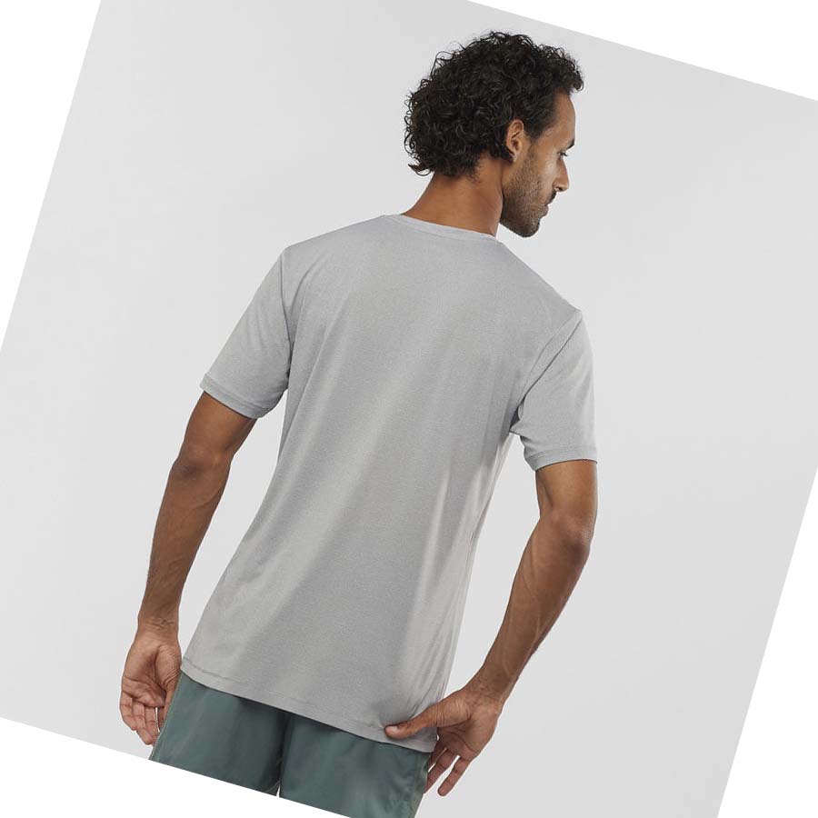 Salomon AGILE TRAINING T-shirt Herr Vita | SE380VRW