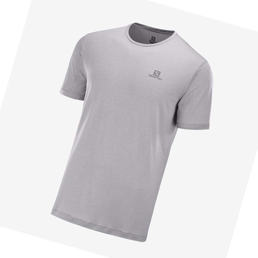 Salomon AGILE TRAINING T-shirt Herr Vita | SE380VRW