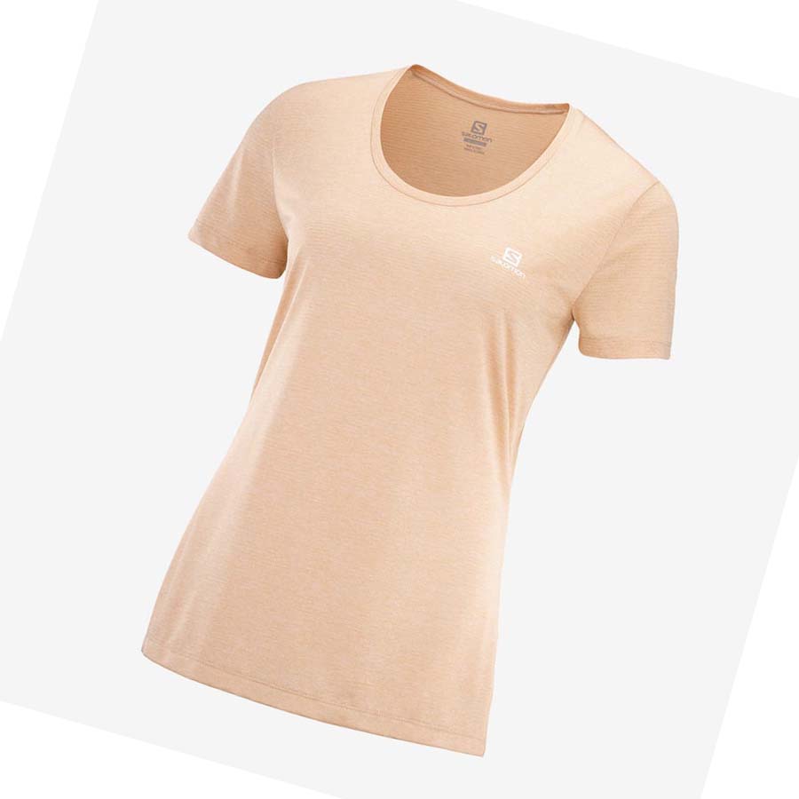 Salomon AGILE T-shirt Dam Beige | SE1071ILH