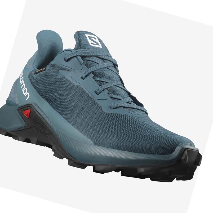 Salomon ALPHACROSS 3 GORE-TEX Trail löparskor Herr Blå | SE88EBC