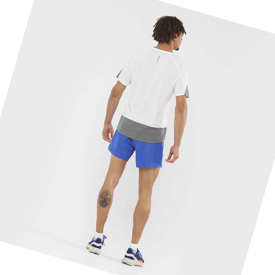 Salomon CROSS 5'' Shorts Herr Blå | SE459CTV