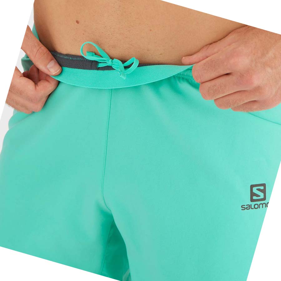 Salomon CROSS 5'' Shorts Herr Mintgröna | SE458VRW