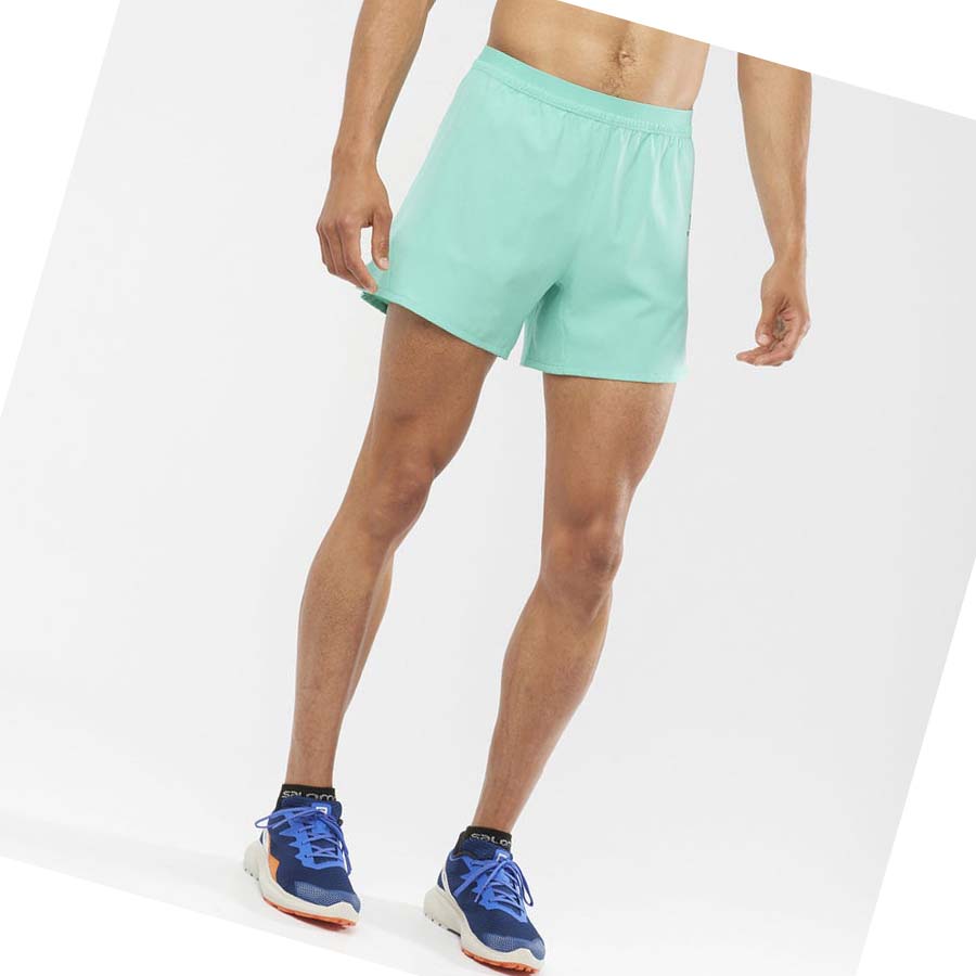 Salomon CROSS 5'' Shorts Herr Mintgröna | SE458VRW