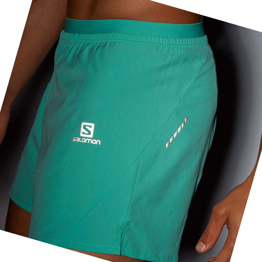 Salomon CROSS 5'' Shorts Herr Mintgröna | SE458VRW