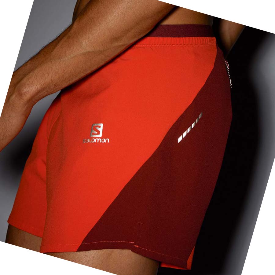 Salomon CROSS 5'' Shorts Herr Orange | SE457BEX