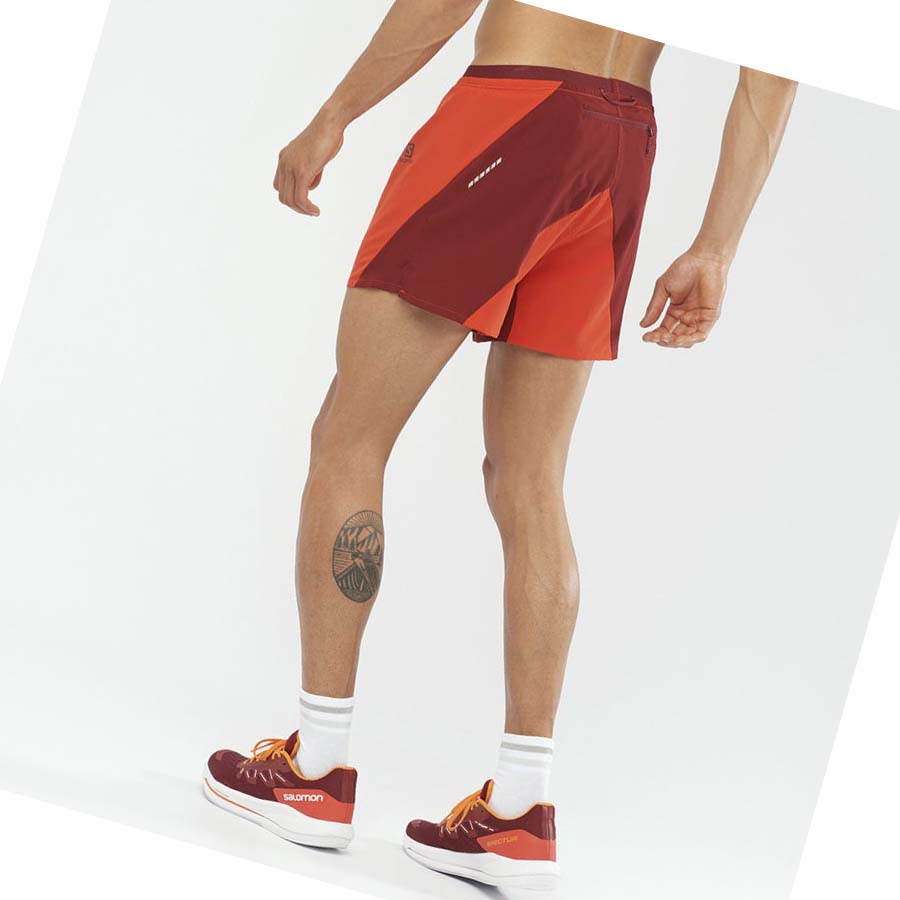 Salomon CROSS 5'' Shorts Herr Orange | SE457BEX