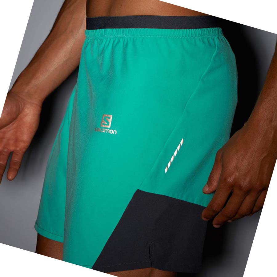 Salomon CROSS 7'' NO LINER Shorts Herr Mintgröna | SE453WNB