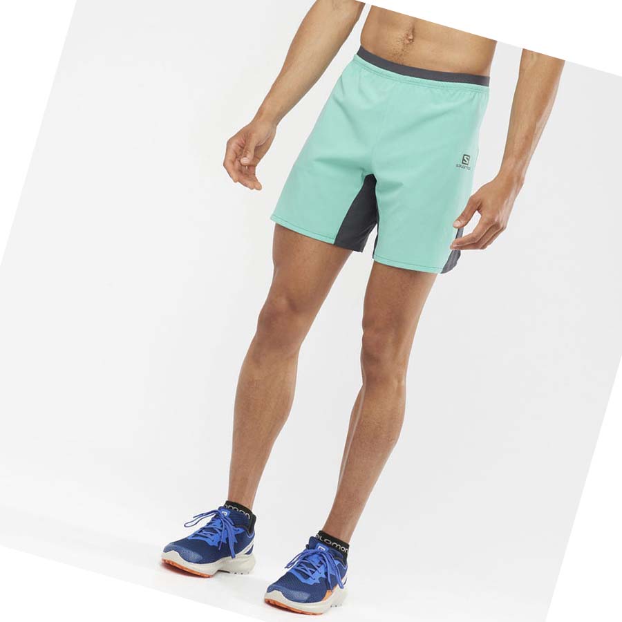 Salomon CROSS 7'' NO LINER Shorts Herr Mintgröna | SE453WNB