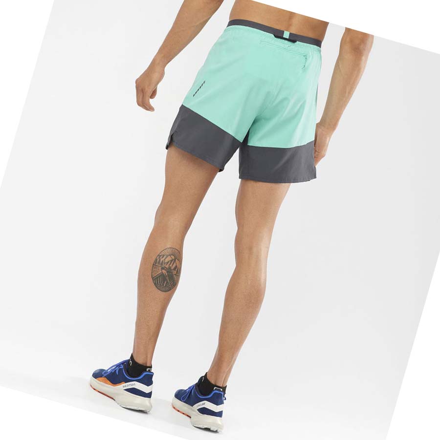 Salomon CROSS 7'' NO LINER Shorts Herr Mintgröna | SE453WNB