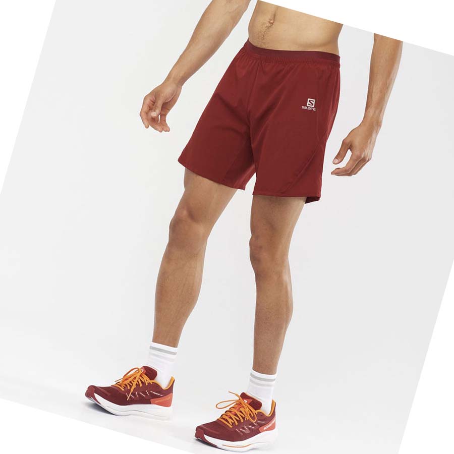 Salomon CROSS 7'' Shorts Herr Röda | SE461ZUT