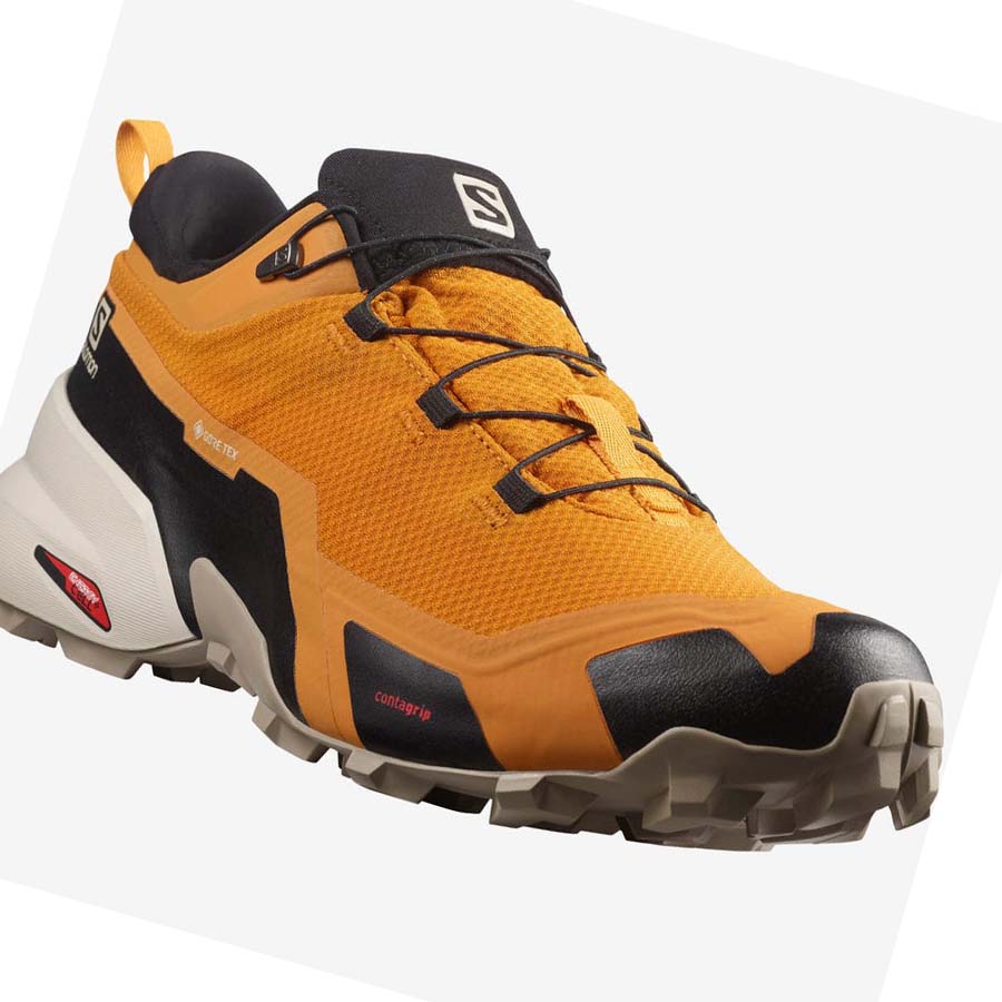 Salomon CROSS HIKE GORE-TEX Vandringsskor Herr Orange | SE19ZUT