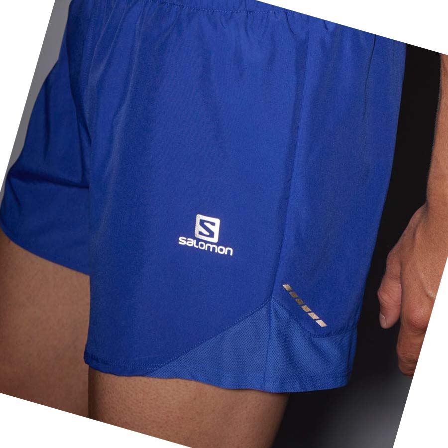 Salomon CROSS REBEL 5'' Shorts Herr Blå | SE449YXF