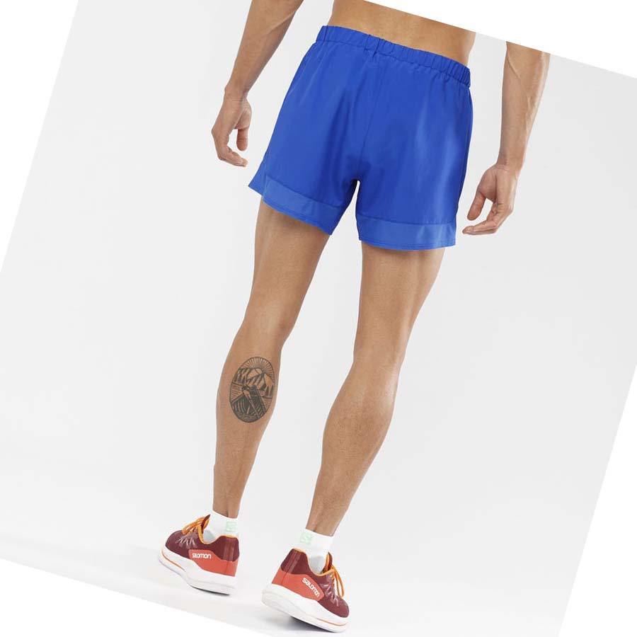 Salomon CROSS REBEL 5'' Shorts Herr Blå | SE449YXF