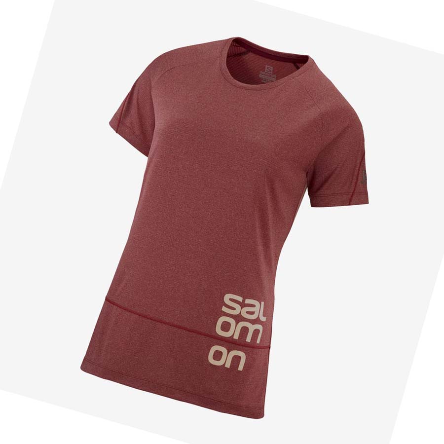 Salomon CROSS RUN GRAPHIC T-shirt Dam Röda | SE1079MQZ