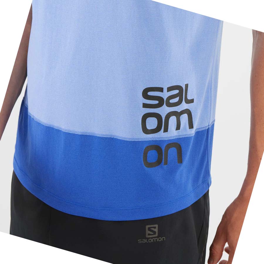 Salomon CROSS RUN GRAPHIC T-shirt Herr Blå | SE400EBC