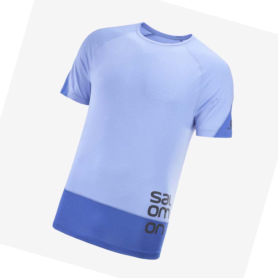 Salomon CROSS RUN GRAPHIC T-shirt Herr Blå | SE400EBC