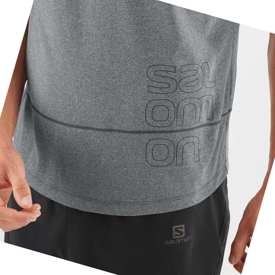 Salomon CROSS RUN GRAPHIC T-shirt Herr Grå | SE402QMA