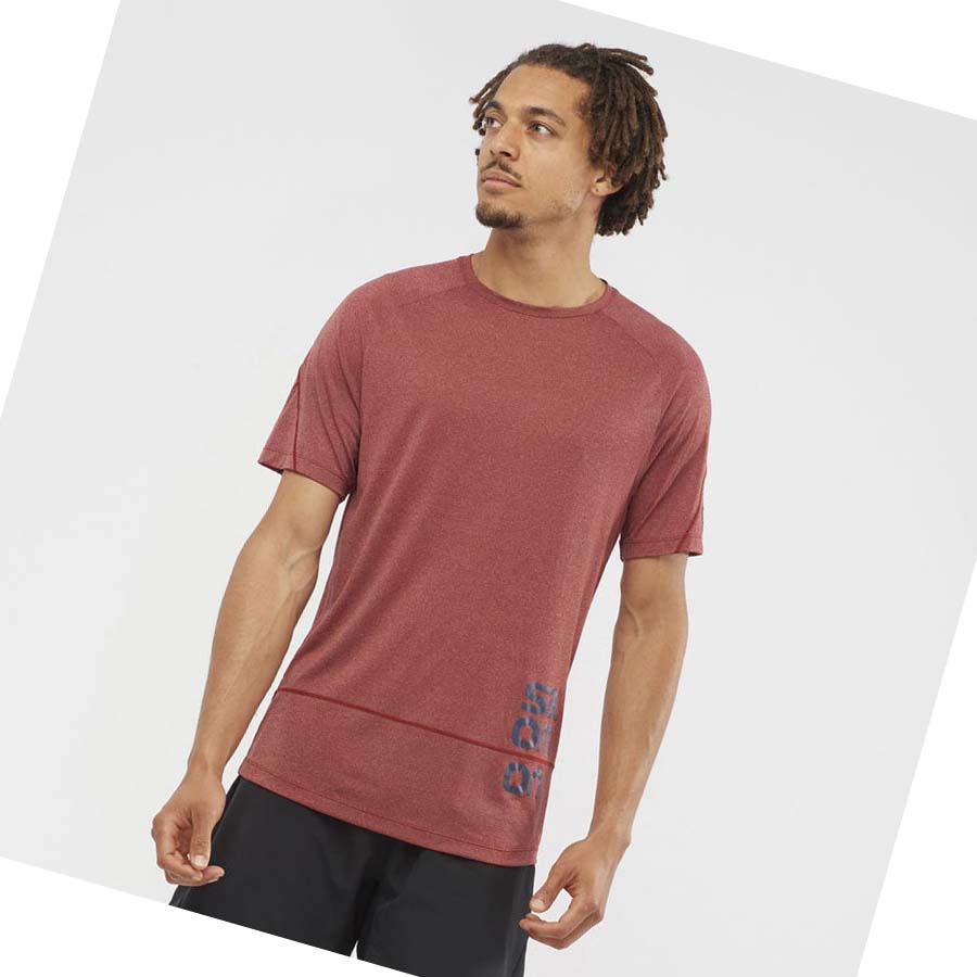 Salomon CROSS RUN GRAPHIC T-shirt Herr Röda | SE401WNB