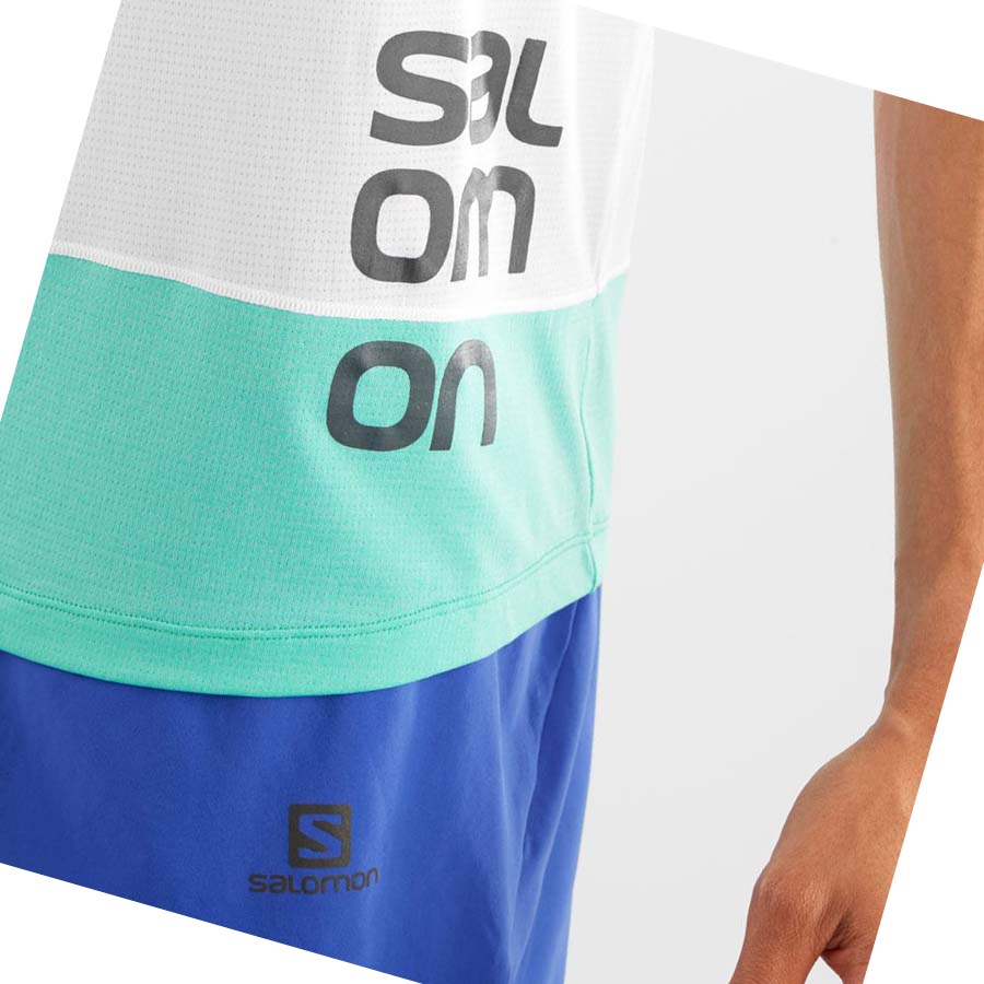 Salomon CROSS RUN GRAPHIC T-shirt Herr Vita | SE391SGL