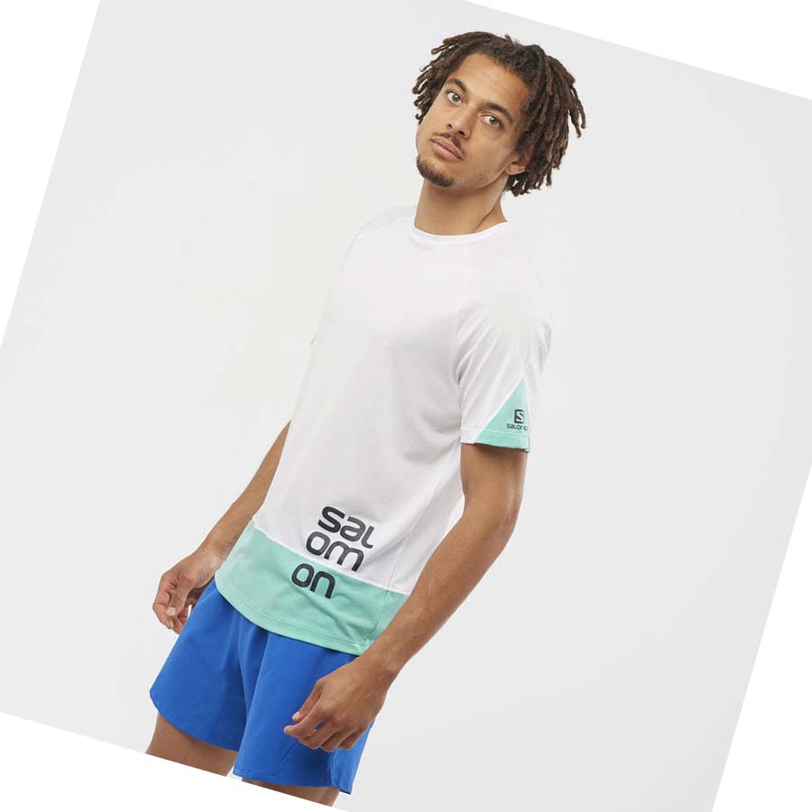 Salomon CROSS RUN GRAPHIC T-shirt Herr Vita | SE403MQZ