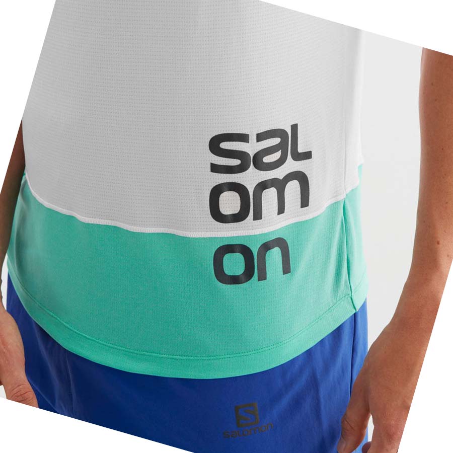 Salomon CROSS RUN GRAPHIC T-shirt Herr Vita | SE403MQZ