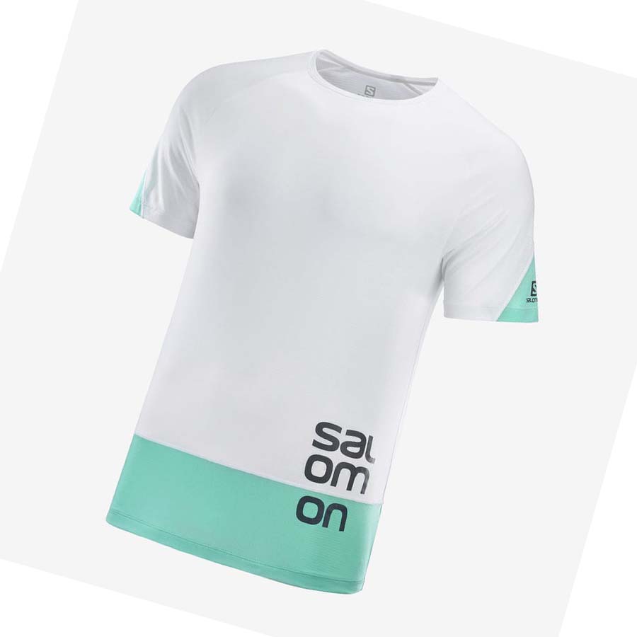 Salomon CROSS RUN GRAPHIC T-shirt Herr Vita | SE403MQZ