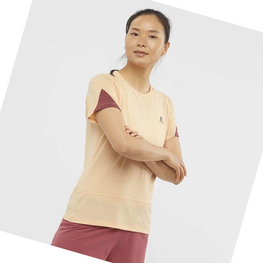 Salomon CROSS RUN T-shirt Dam Beige | SE1082VRW