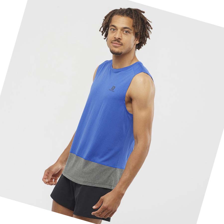 Salomon CROSS RUN T-shirt Herr Blå | SE394OKI