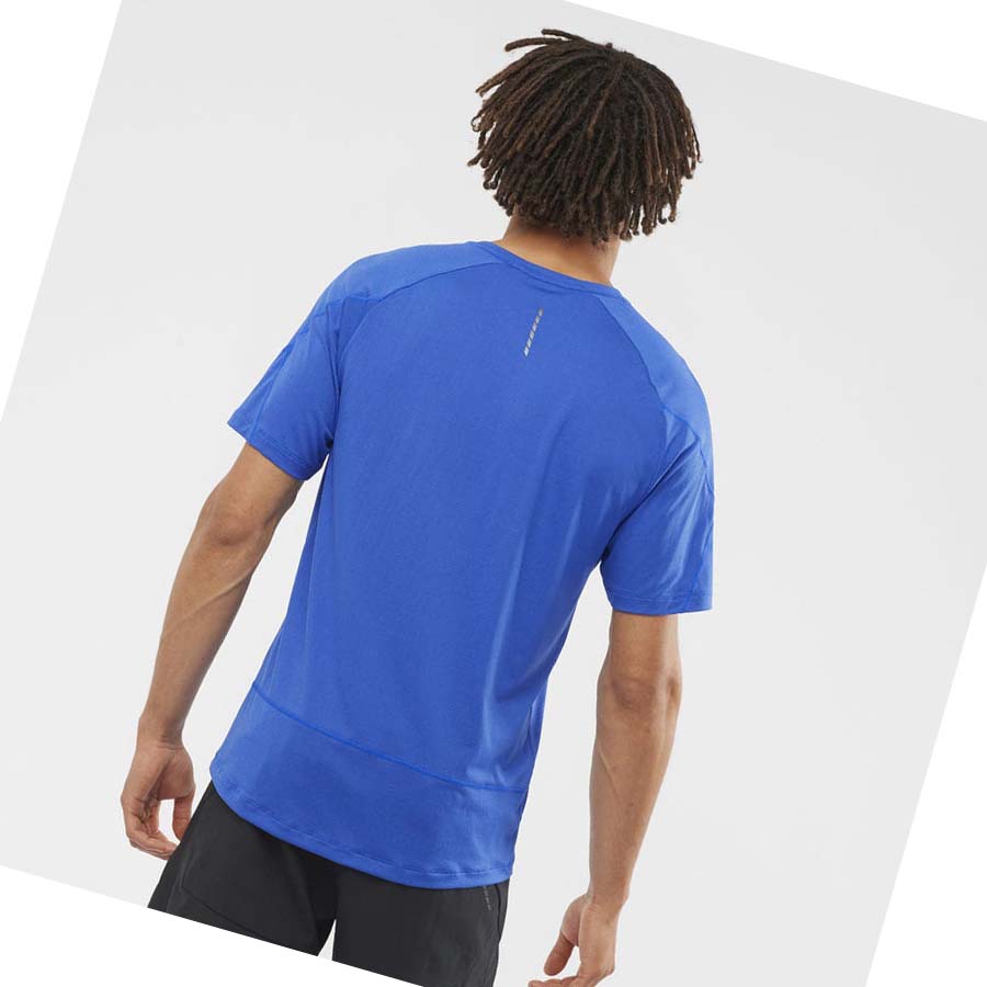 Salomon CROSS RUN T-shirt Herr Blå | SE396UZG