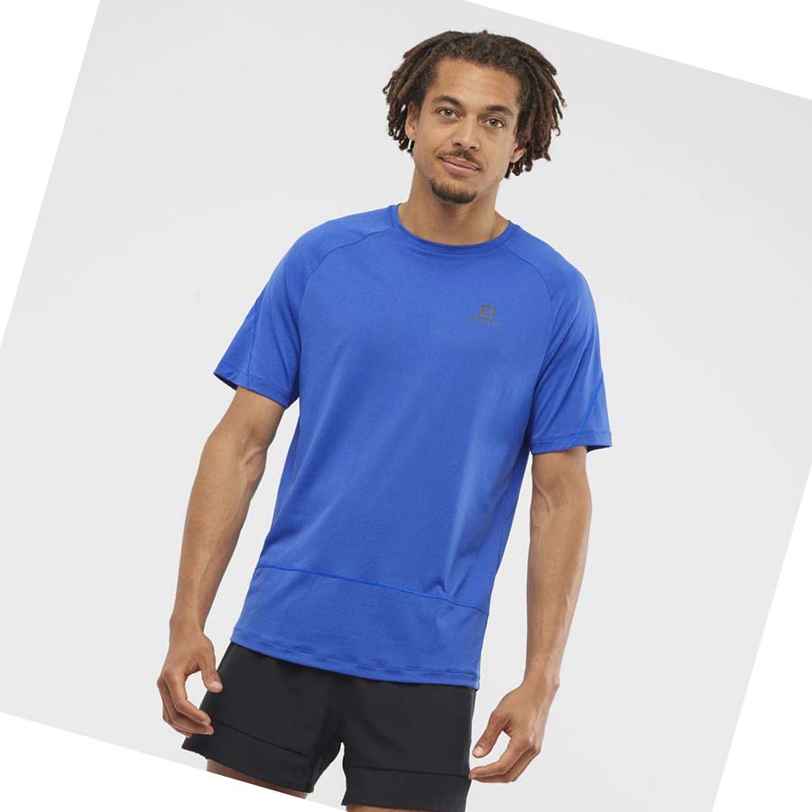 Salomon CROSS RUN T-shirt Herr Blå | SE396UZG