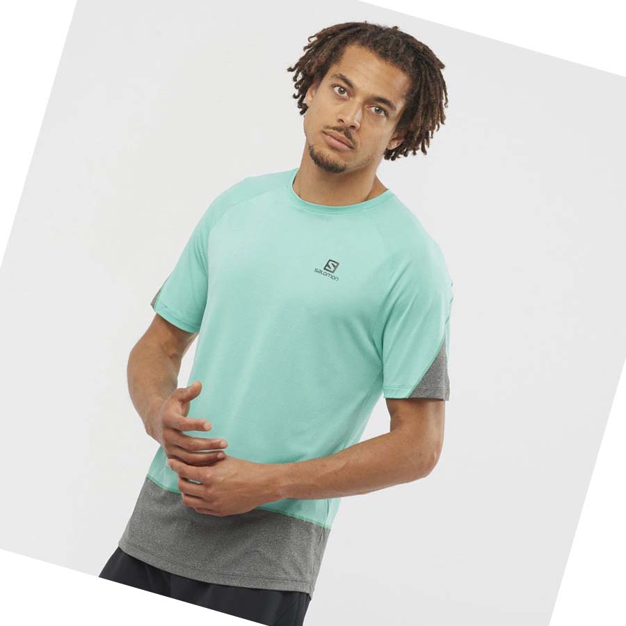 Salomon CROSS RUN T-shirt Herr Mintgröna | SE399RVD