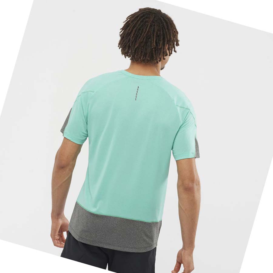 Salomon CROSS RUN T-shirt Herr Mintgröna | SE399RVD