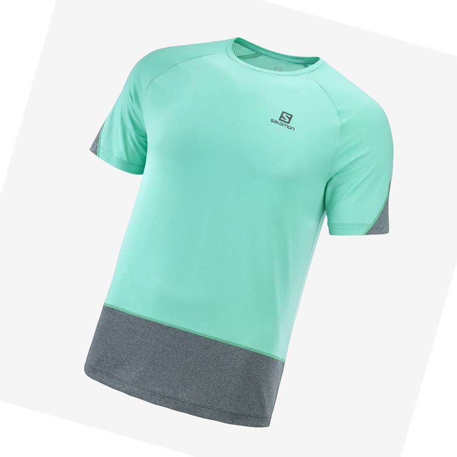 Salomon CROSS RUN T-shirt Herr Mintgröna | SE399RVD