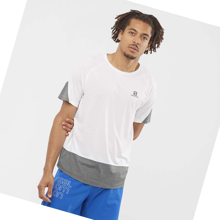 Salomon CROSS RUN T-shirt Herr Vita | SE398TCE