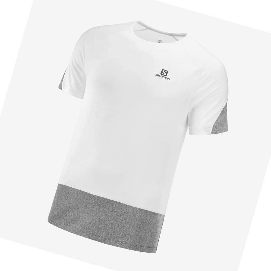 Salomon CROSS RUN T-shirt Herr Vita | SE398TCE