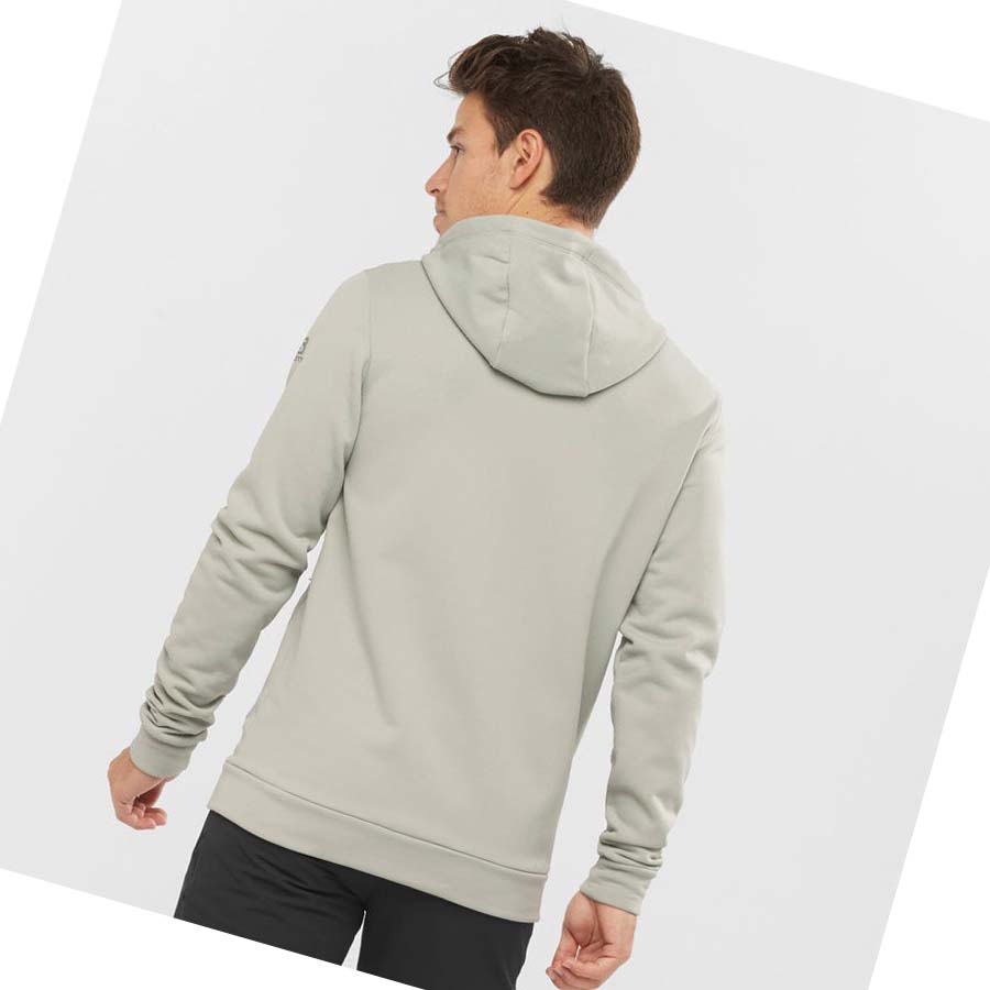 Salomon ESSENTIAL WARM FLEECE Hoodie Herr Beige | SE430NWY