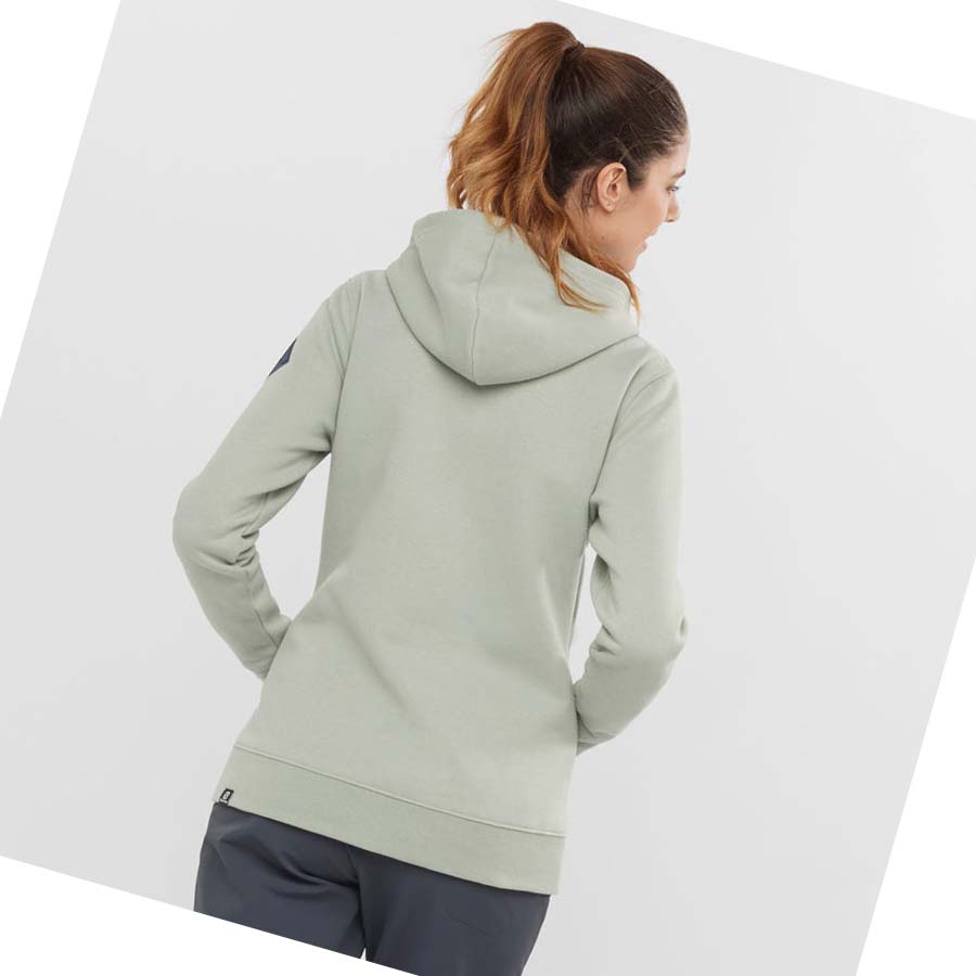 Salomon ESSENTIAL WARM SALOMON Hoodie Dam Beige | SE1110XYU