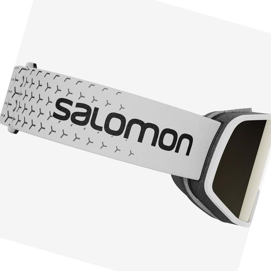 Salomon LO FI SIGMA Glasögon Herr Beige | SE723KOR