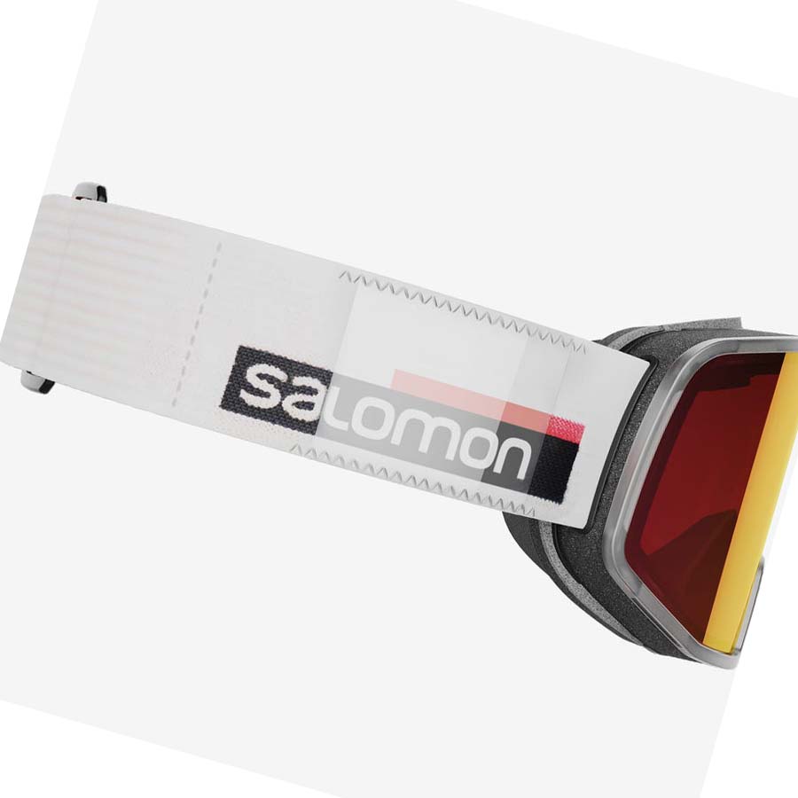 Salomon LO FI SIGMA Glasögon Herr Vita | SE724JPQ