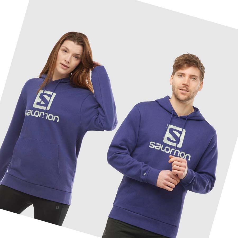 Salomon OUTLIFE LOGO SUMMER Hoodie Dam Lila | SE1088JPQ