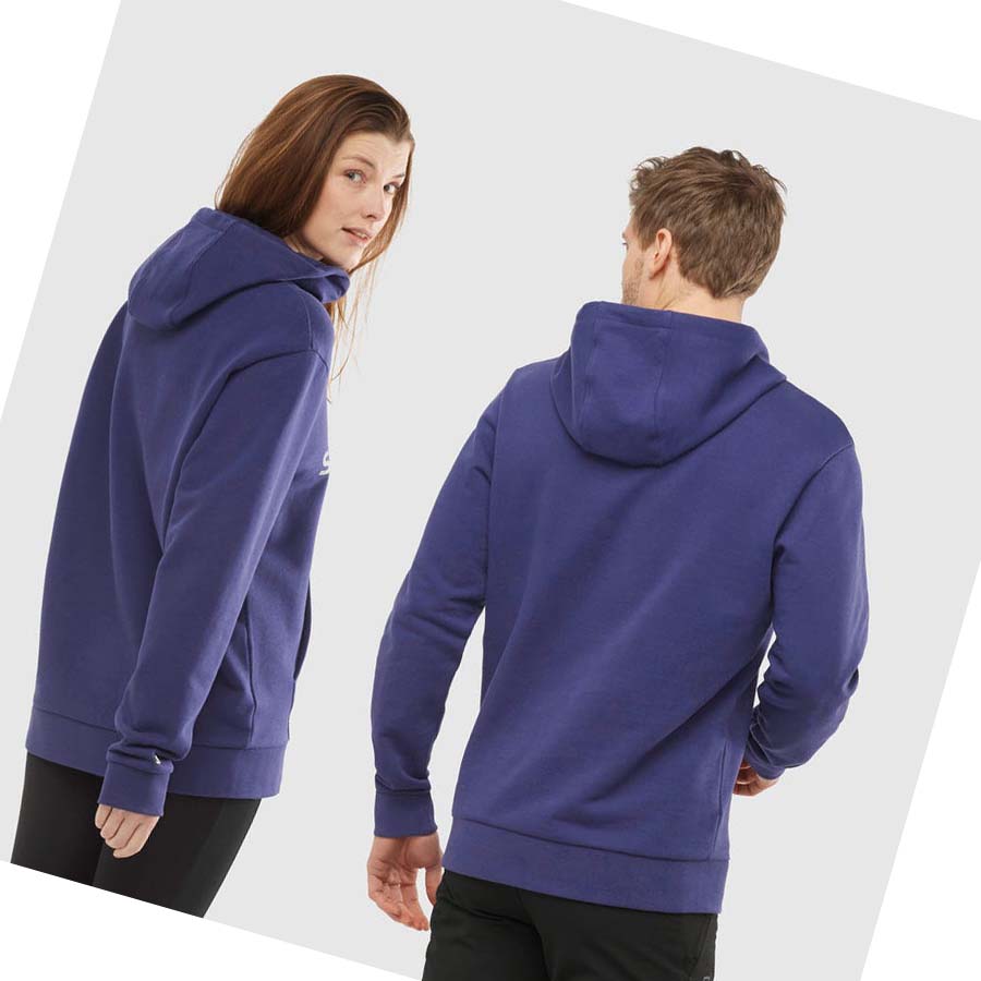 Salomon OUTLIFE LOGO SUMMER Hoodie Dam Lila | SE1088JPQ