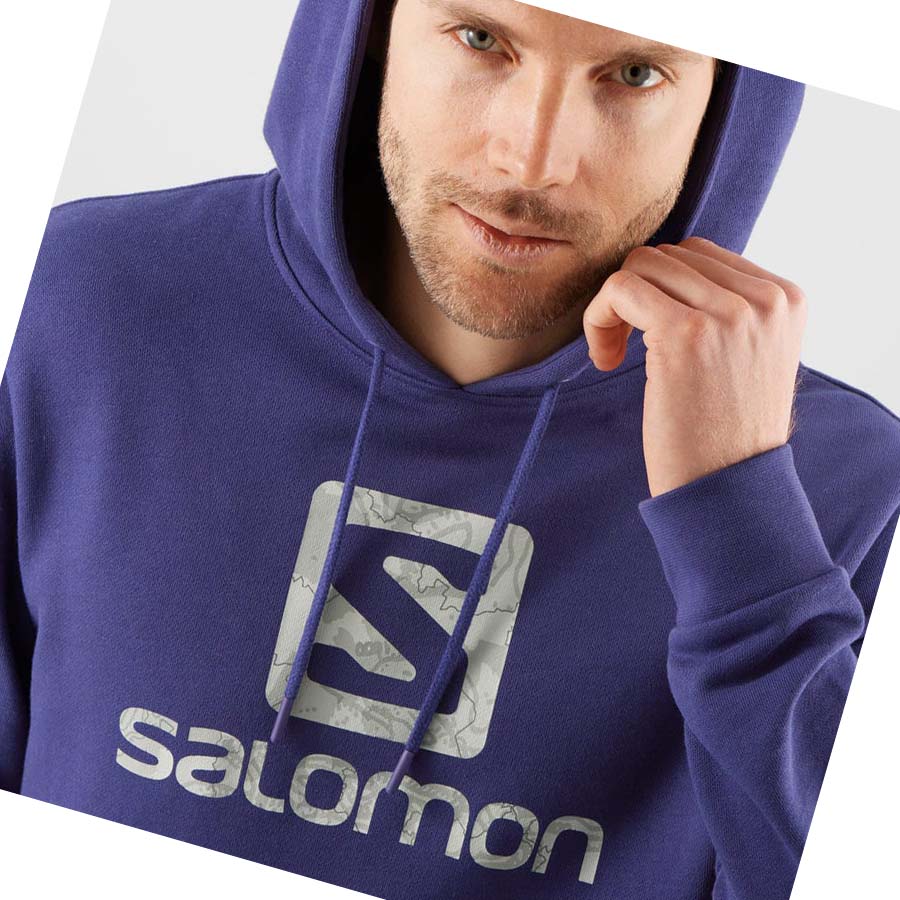 Salomon OUTLIFE LOGO SUMMER Hoodie Dam Lila | SE1088JPQ