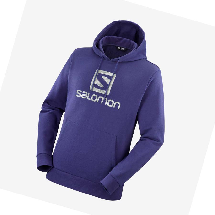 Salomon OUTLIFE LOGO SUMMER Hoodie Dam Lila | SE1088JPQ