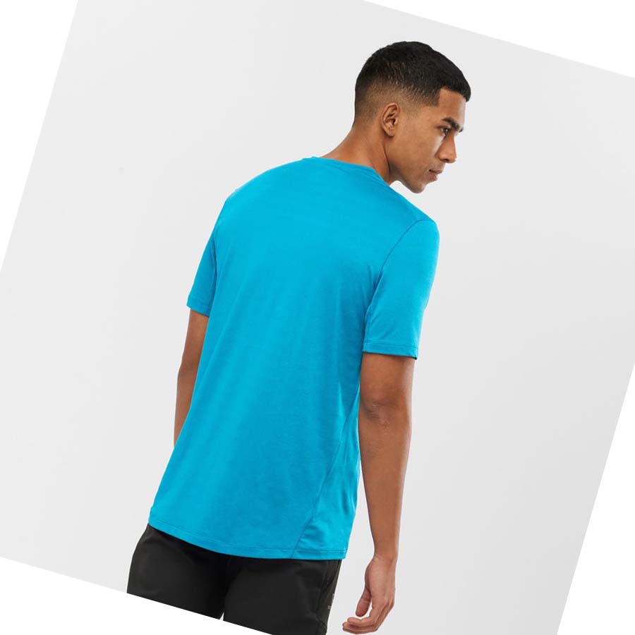 Salomon OUTLINE T-shirt Herr Blå | SE376QMA