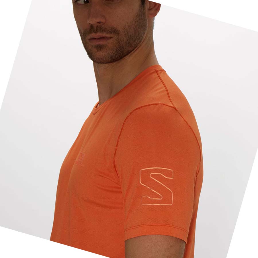 Salomon OUTLINE T-shirt Herr Orange | SE375WNB