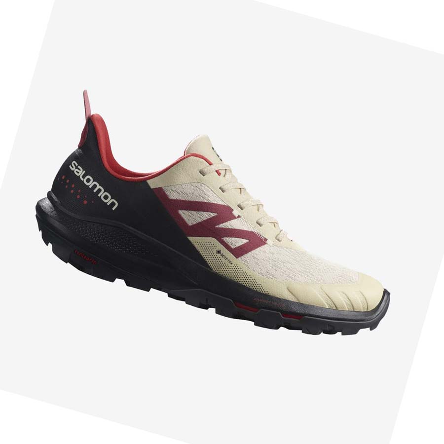 Salomon OUTPULSE GORE-TEX Vandringsskor Herr Beige | SE44XYU