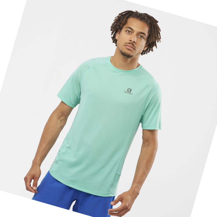 Salomon PROMO CROSS REBEL T-shirt Herr Mintgröna | SE388GSO