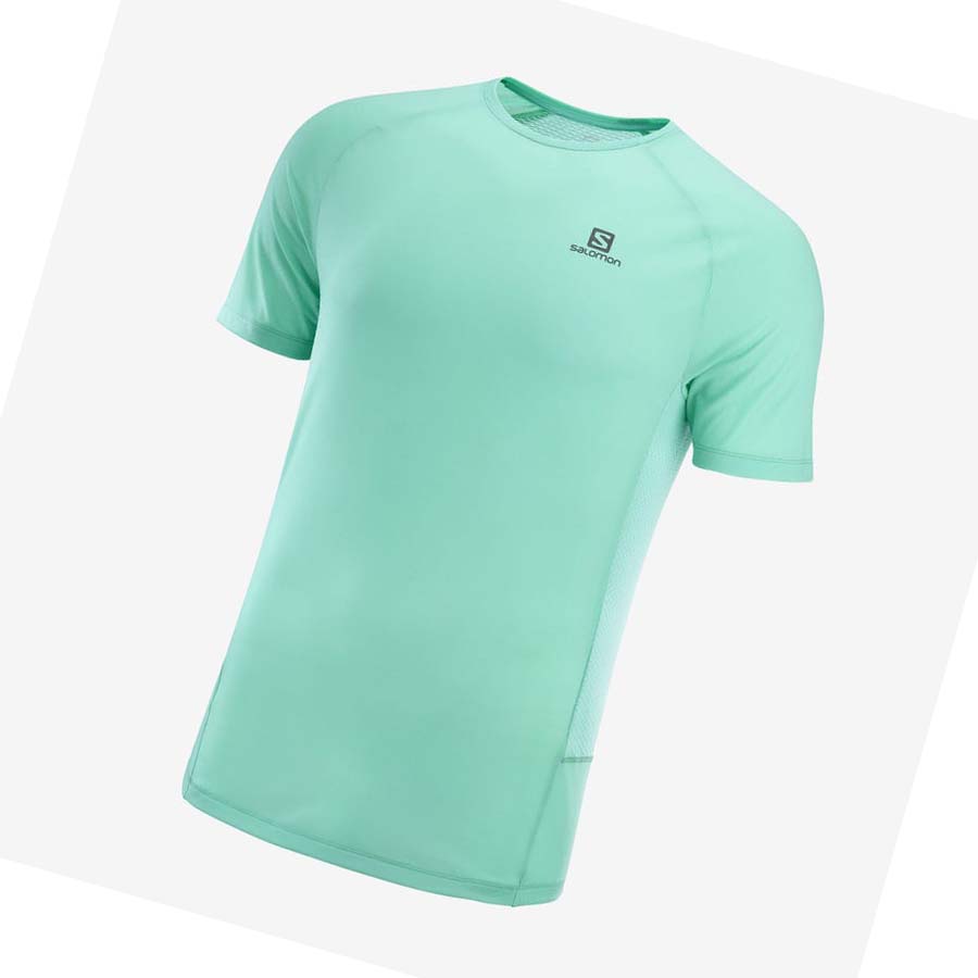 Salomon PROMO CROSS REBEL T-shirt Herr Mintgröna | SE388GSO