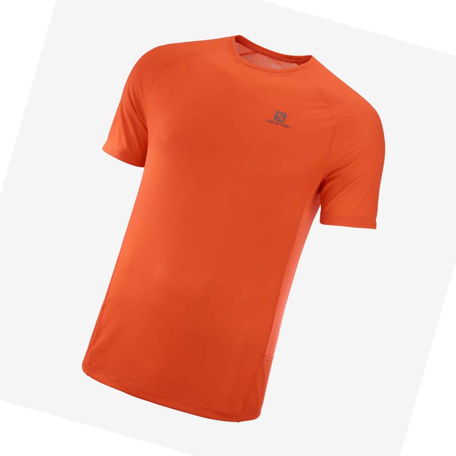 Salomon PROMO CROSS REBEL T-shirt Herr Orange | SE387HAP