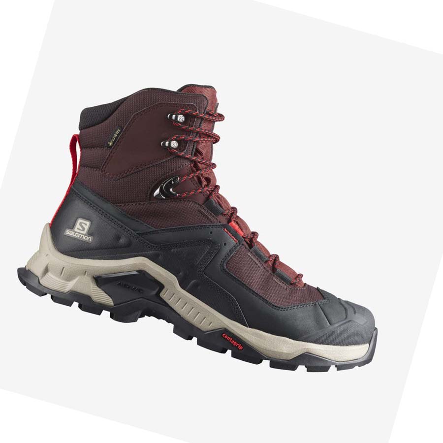 Salomon QUEST ELEMENT GORE-TEX Vandringsskor Herr Grå Röda | SE78DFM